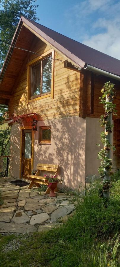 Марічка Marichka Villa Vorokhta Eksteriør billede